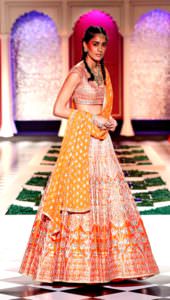 0778-Anita Dongre